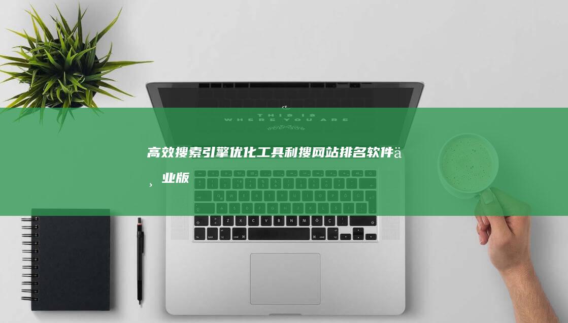 高效搜索引擎优化工具：利搜网站排名软件专业版